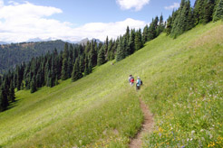 Wandern im Salzburger Land